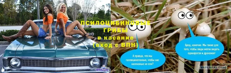 Галлюциногенные грибы MAGIC MUSHROOMS  кракен   Демидов  сколько стоит 